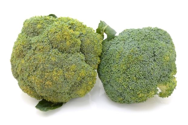 Broccoli with yellow spots instead of black spots