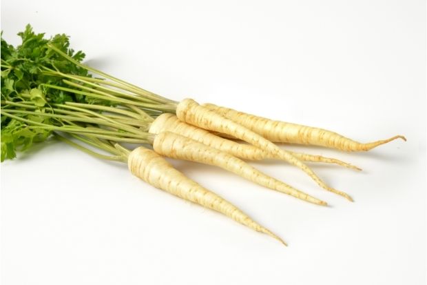 Bunch of parsley root that can work as a parsnip substitute