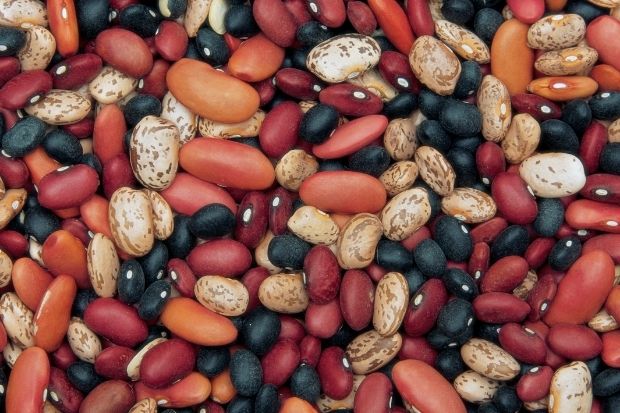 Beans that won't soften