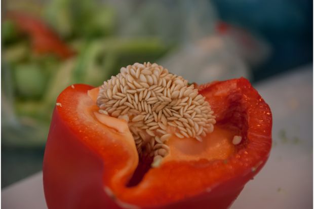 Bell pepper with seeds that you can eat