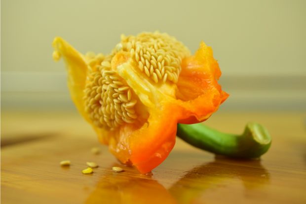 Bell pepper seeds that you can eat
