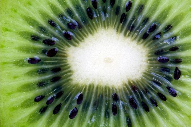 Kiwi fruit with seeds that you can eat