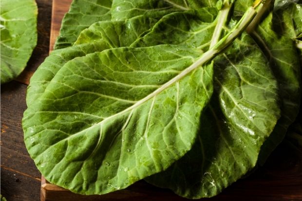 Collard greens that can be used as a pandan leaf substitute
