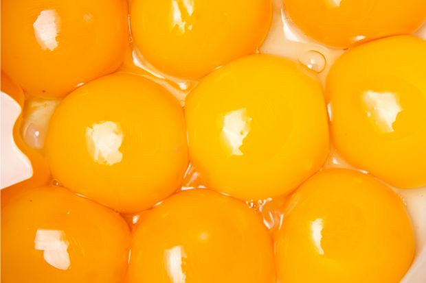 Egg yolks that will be used instead of whole eggs