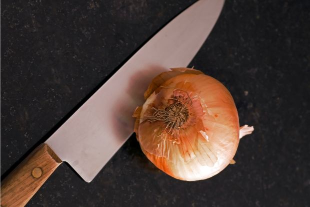 Knife and onion that will stink up the fridge after being cut