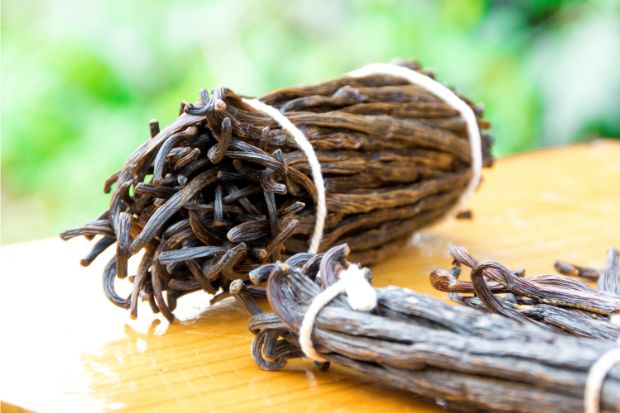 Bundle of vanilla beans that are very expensive