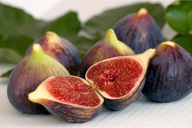 Figs that can be used as a quince substitute