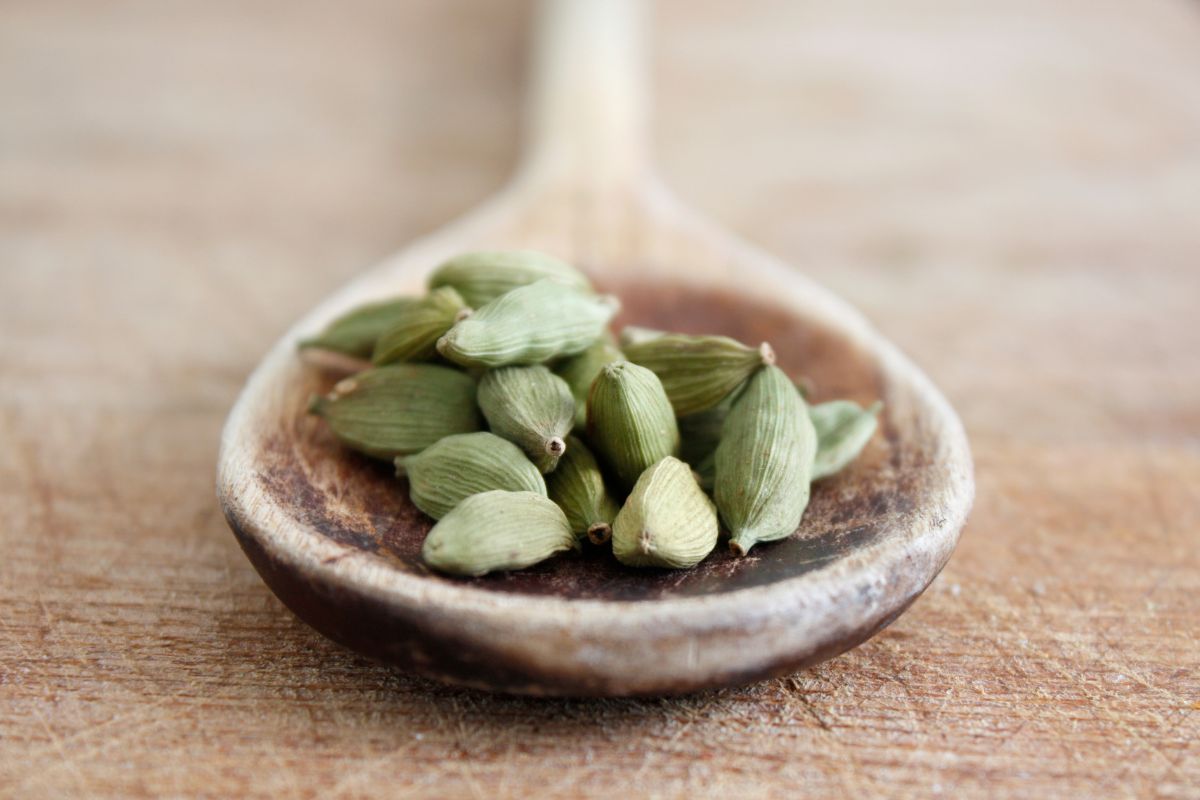 Wooden spoon full of expensive cardamom