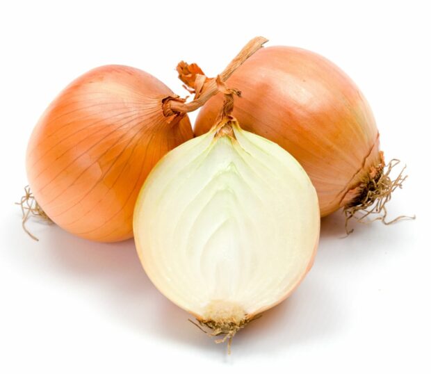 Best yellow onions for fajitas