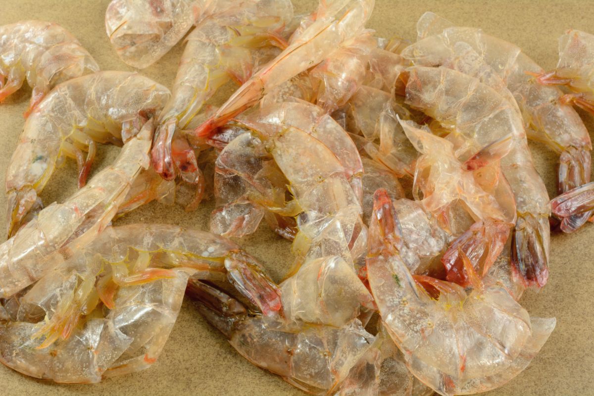 Shrimp shells that you can eat