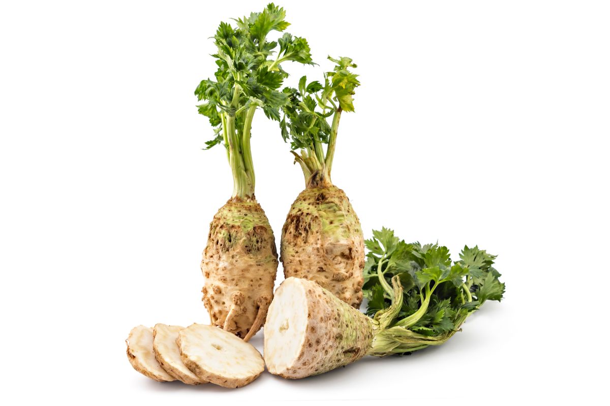 Celery root