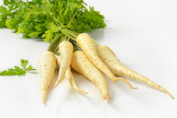Parsley root to be used as a celery root substitute