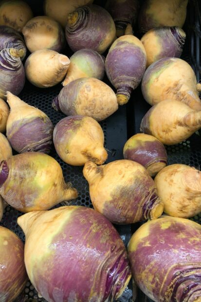 Rutabaga is a great substitute for celery root