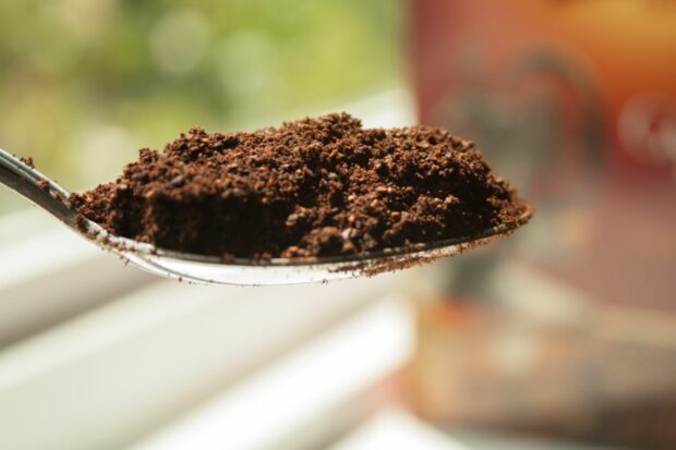 Coffee grounds for getting rid of garlic smell in fridge