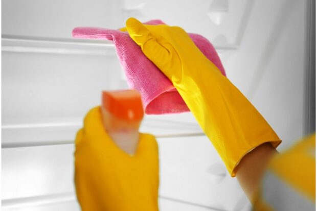 Wiping fridge interior to get rid of garlic smell