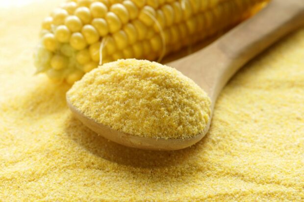 Corn flour that can be used as a tempura flour substitute